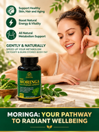Moringa Powder Capsules
