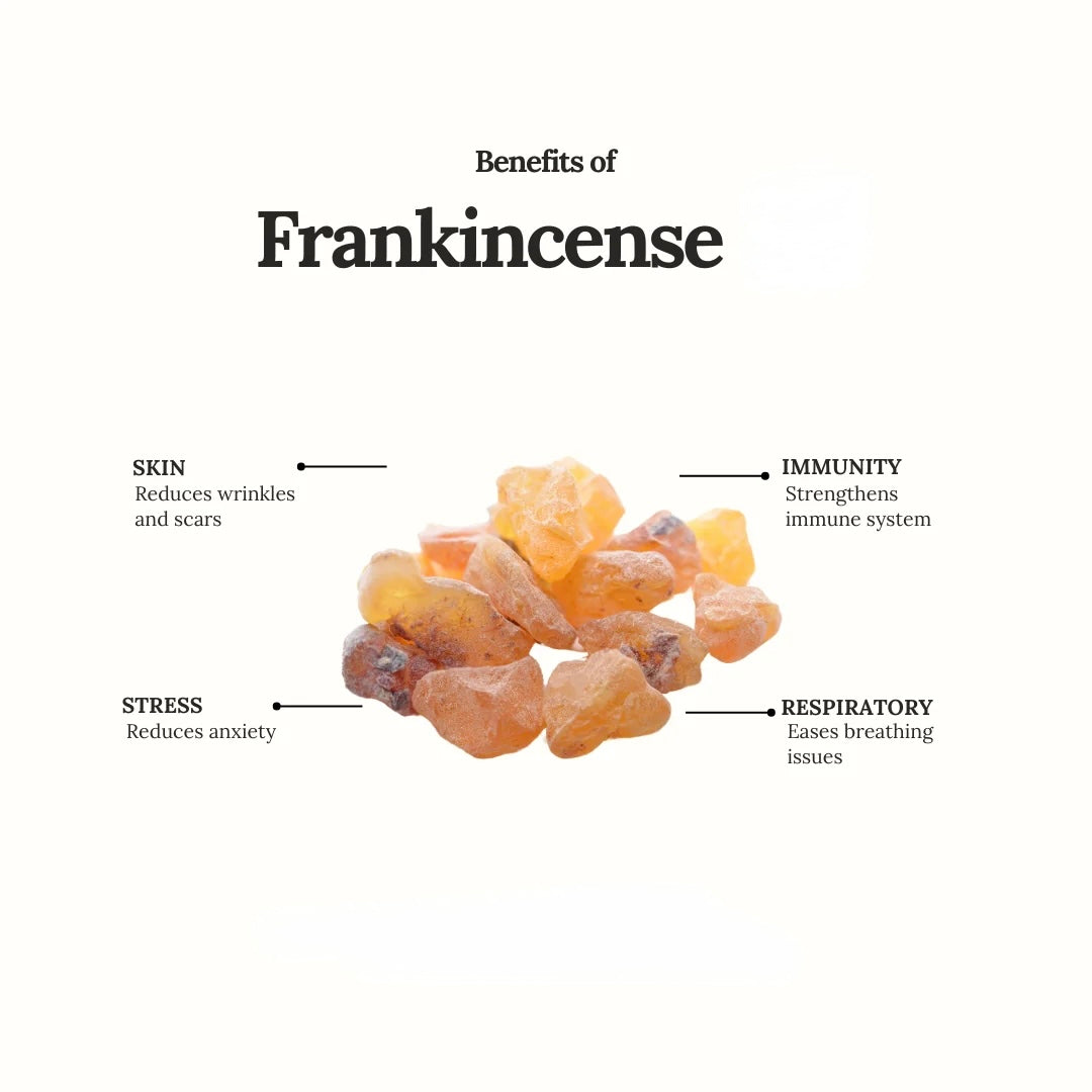 Oman Frankincense