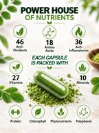 Moringa Powder Capsules