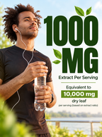 Moringa Powder Capsules